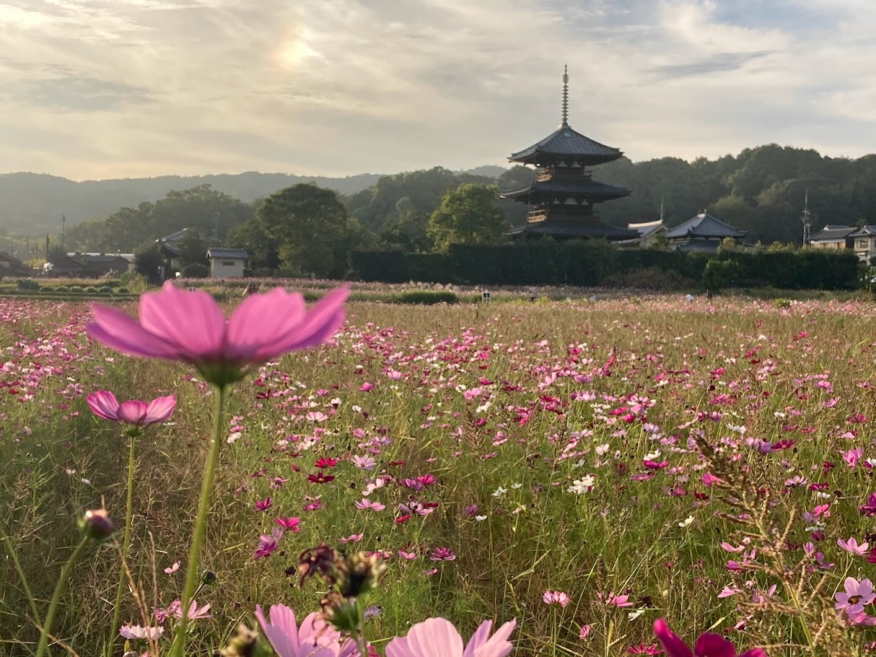 法起寺