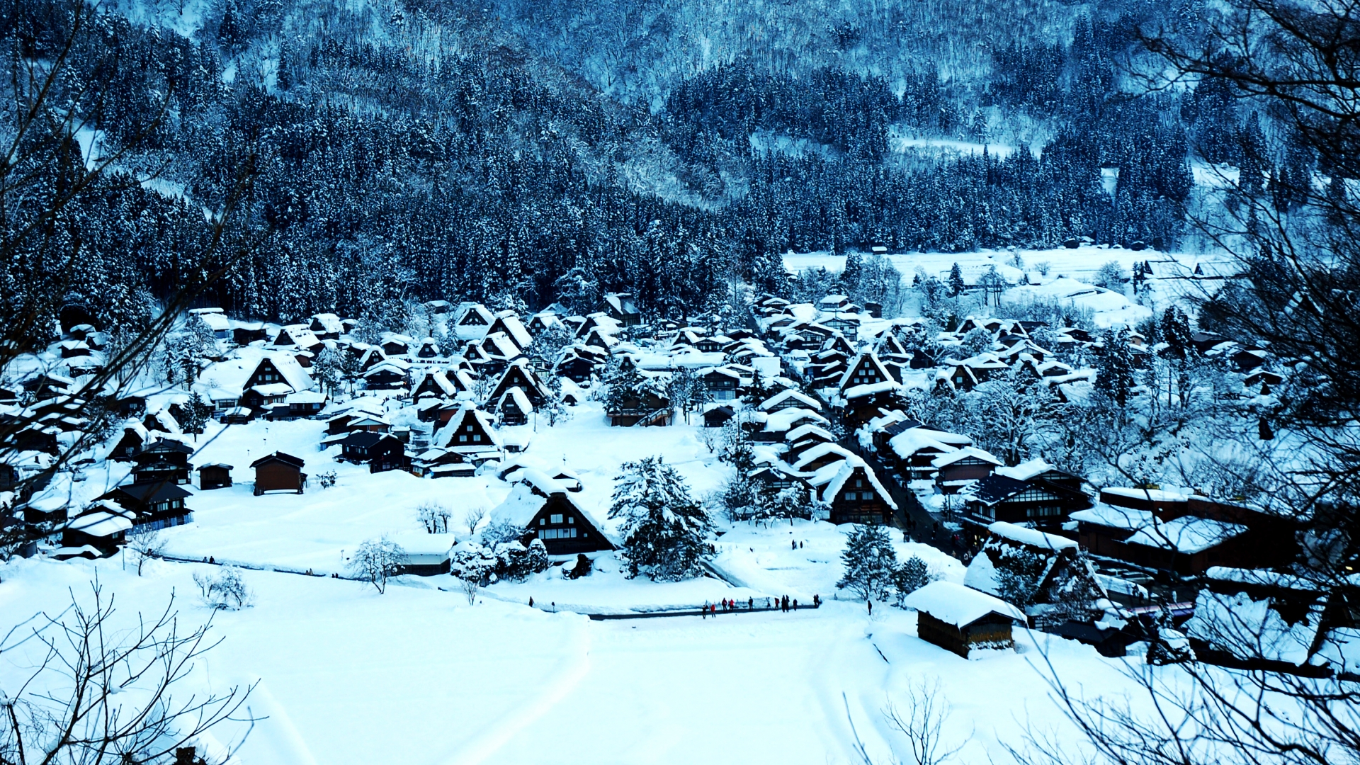 雪