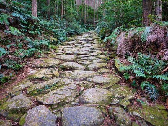 伊勢路