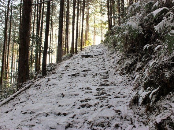 小辺路