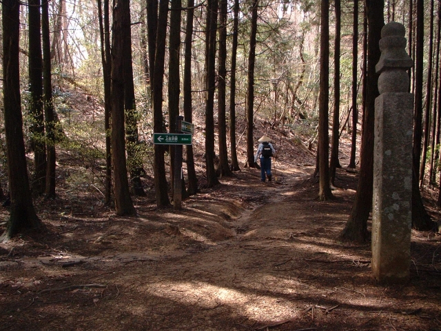 高野参詣道