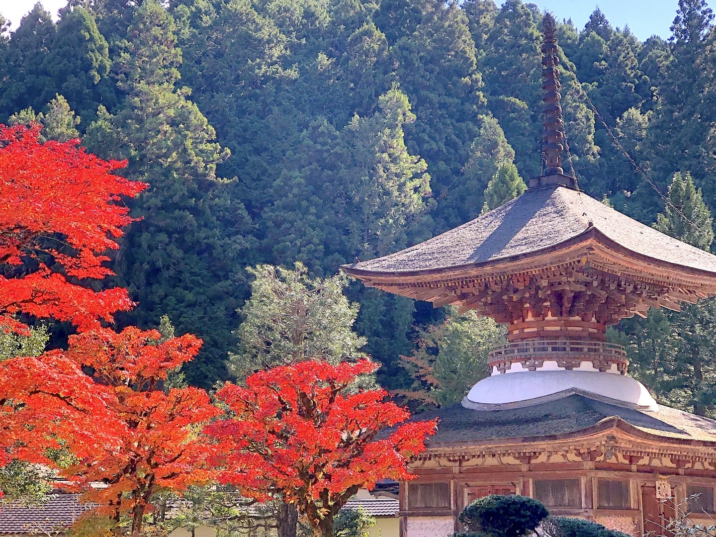 金剛三昧院