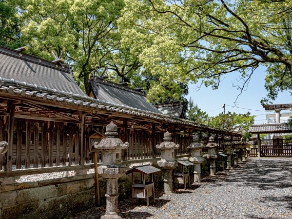 闘鶏神社