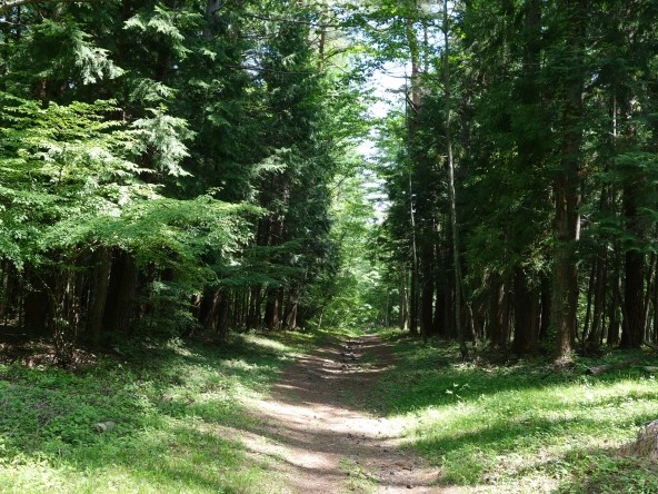 吉田口登山道
