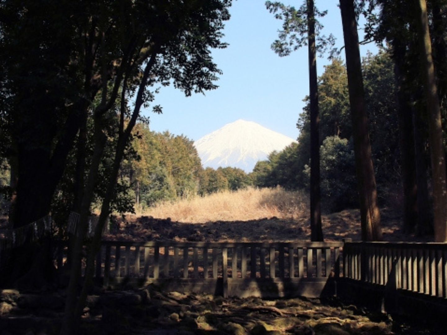 山宮浅間神社