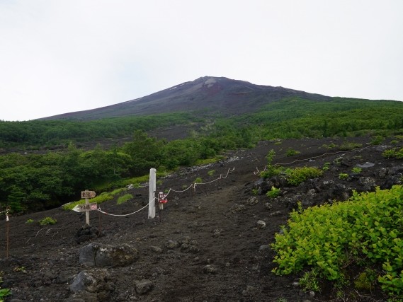 須走口登山道