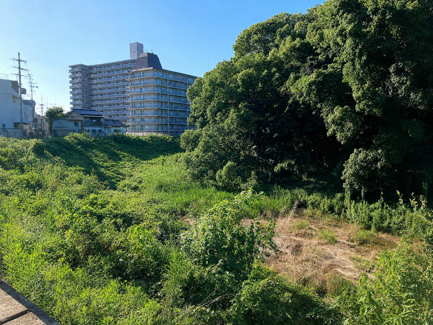市ノ山古墳