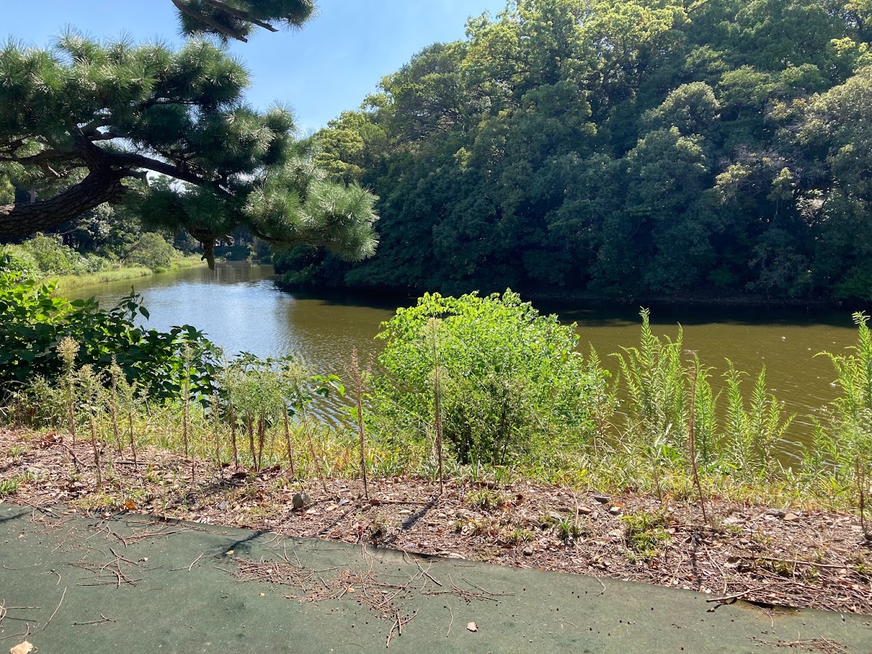 田出井山古墳