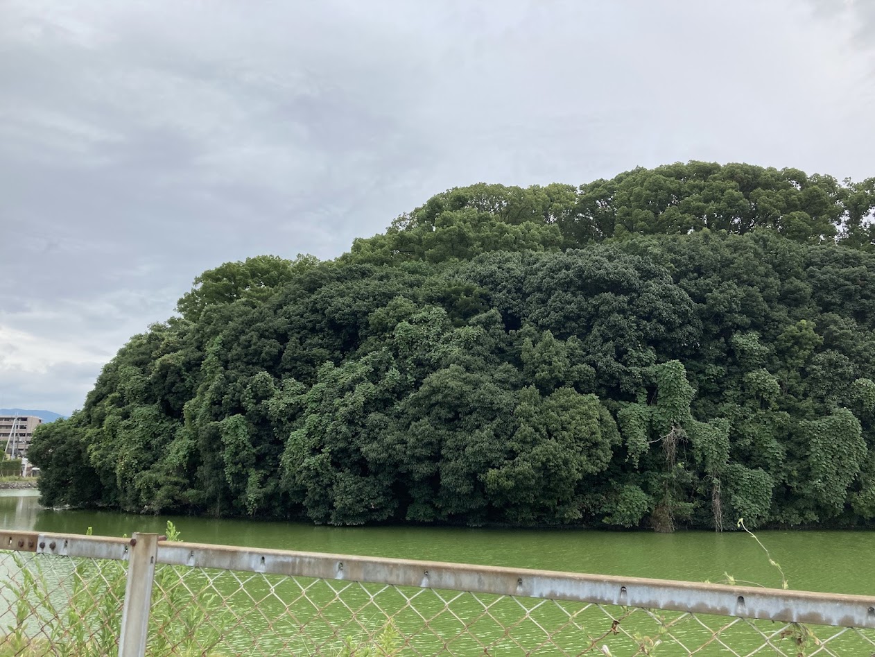白鳥陵古墳
