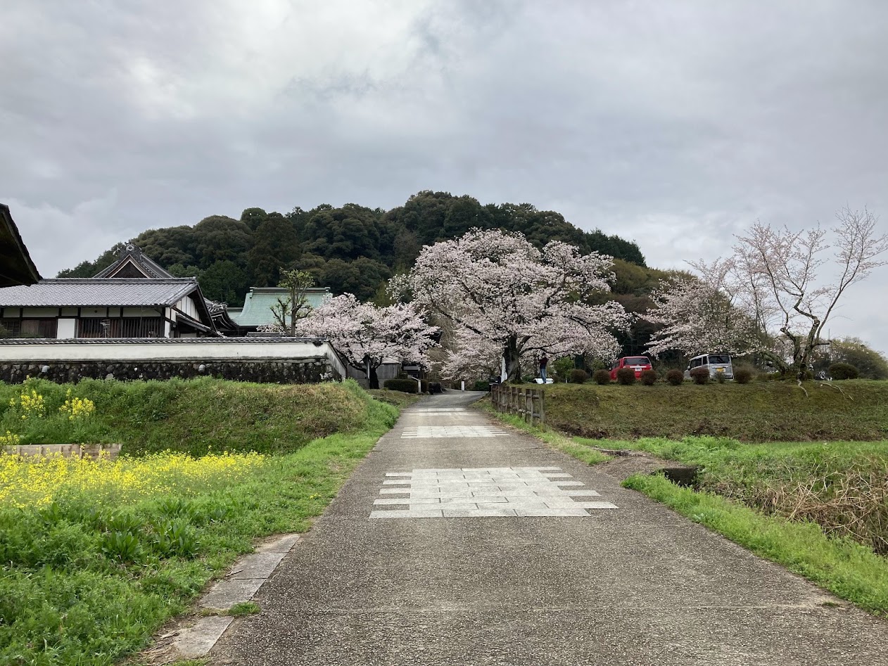 橘寺跡