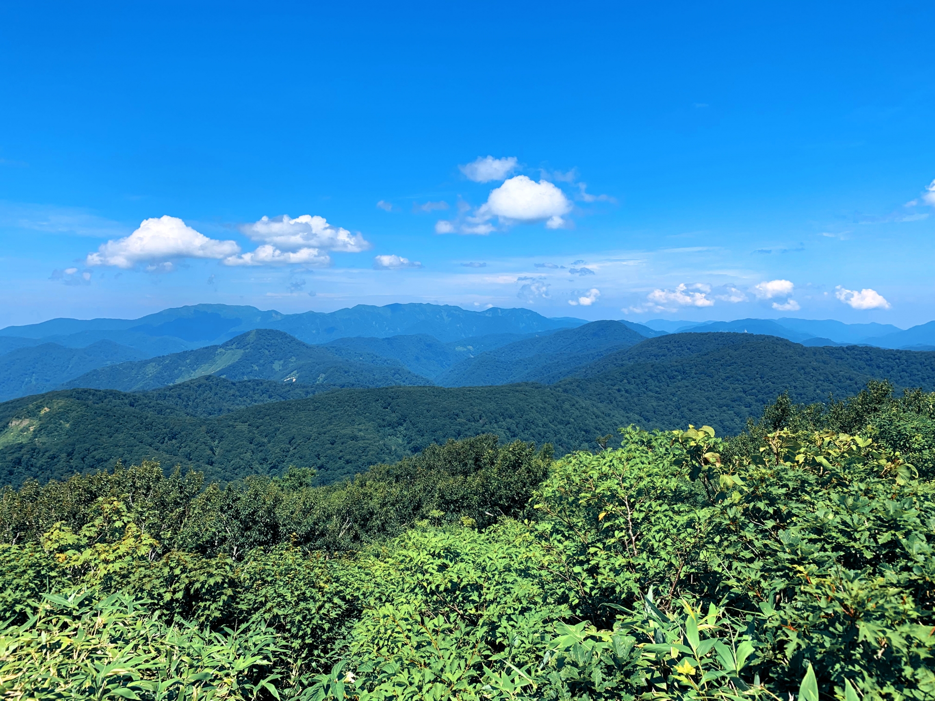 白神山地
