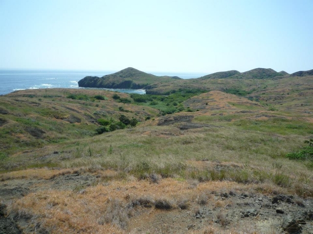 聟島列島