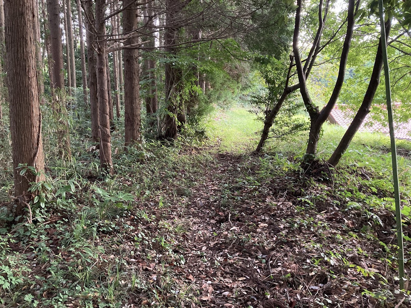 出雲国山陰道跡