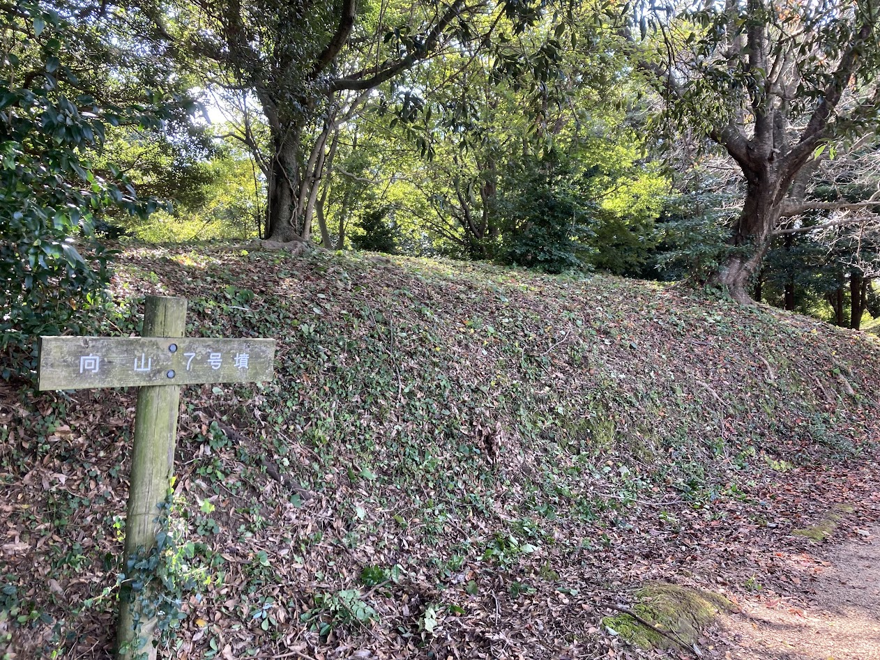向山古墳群