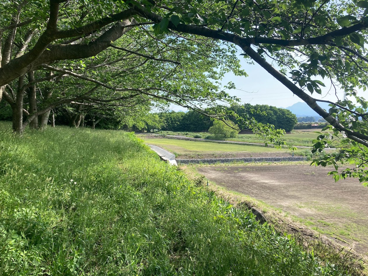 Ōtakano Government Office Site