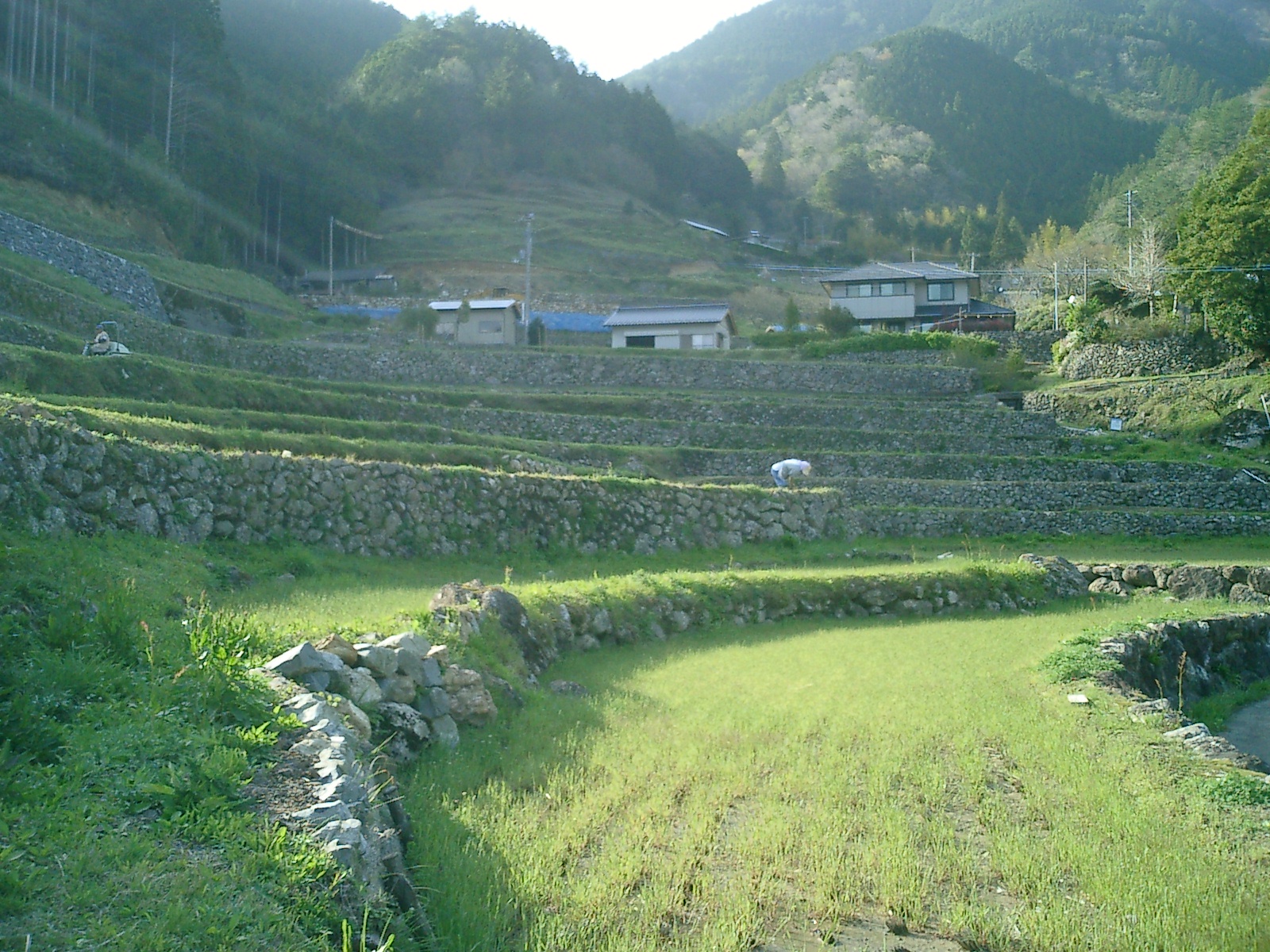 上流域の山村と棚田
