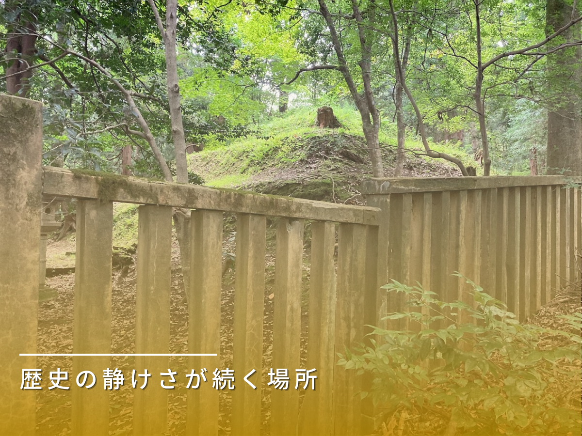 墓地