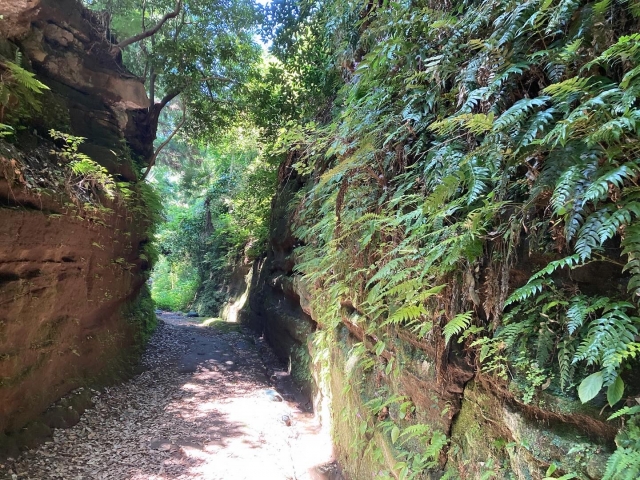 Asahina Pass