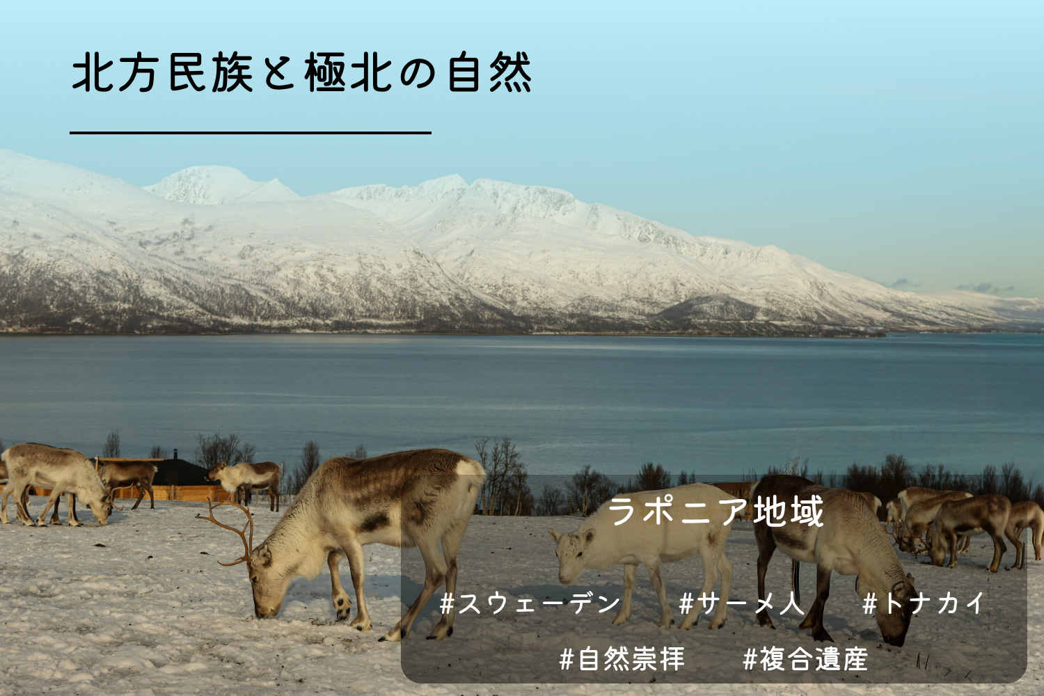 ラポニア地域