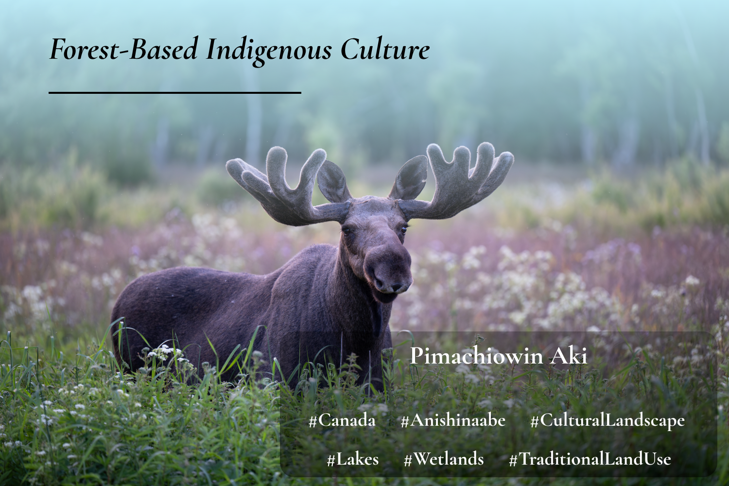  Pimachiowin Aki