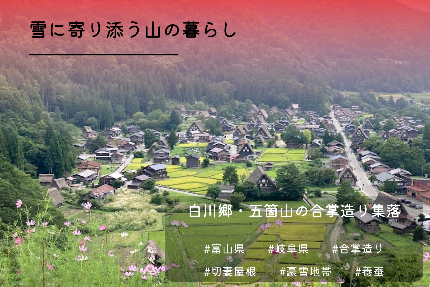 白川郷・五箇山の合掌造り集落